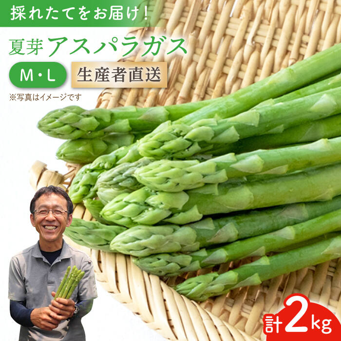 夏芽アスパラガス 2kg(ML混合) 野菜 アスパラ 新鮮 産地直送 国産 夏野菜 東彼杵町 / 前平農園 