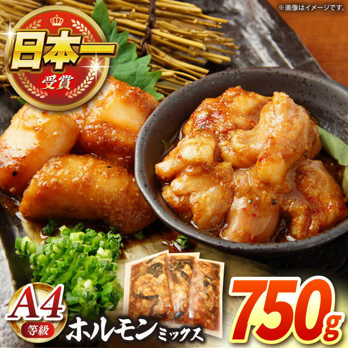 [農場直営/A4ランク]長崎和牛ホルモンミックス 750g(250g×3)ホルモン ほるもん 焼肉用 こだわり 味付け 日本一[焼肉音琴] 