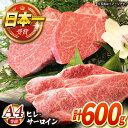 A4ランク 長崎和牛 ヒレ（100g×2）＆サーロイン （200g×2）ステーキセット/赤身 希少部位 ヒレ ヒレ肉 フィレ 