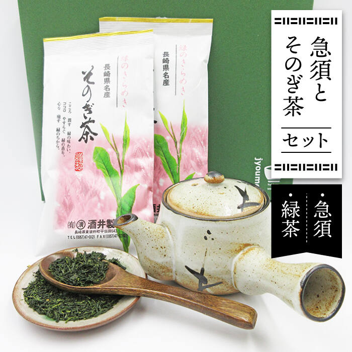 急須とそのぎ茶セット (急須×1・緑茶 100g×2) 茶 お茶 緑茶 日本茶 茶葉 東彼杵町/常明窯 