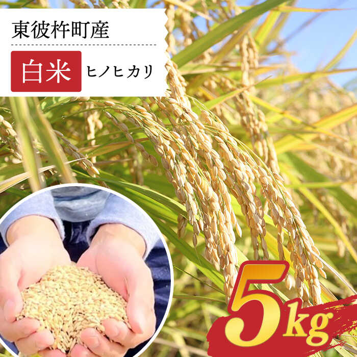 東彼杵町産のお米 5kg(白米・令和5年度ヒノヒカリ)[株式会社ウラノ・URABIO]/お米 米 白米 ふっくら ツヤツヤ 甘い 国産