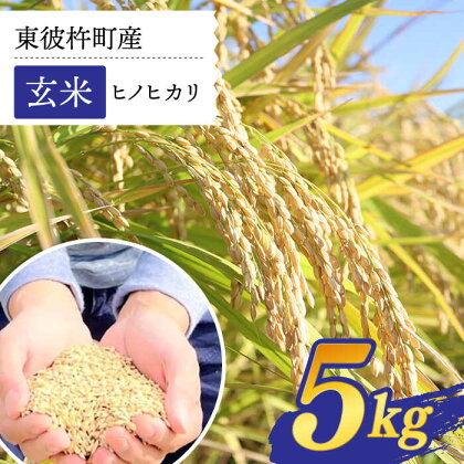 東彼杵町産のお米 5kg（玄米・令和5年度ヒノヒカリ）【株式会社ウラノ・URABIO】/お米 米 玄米 ふっくら ツヤツヤ 甘い 国産[BDB004]