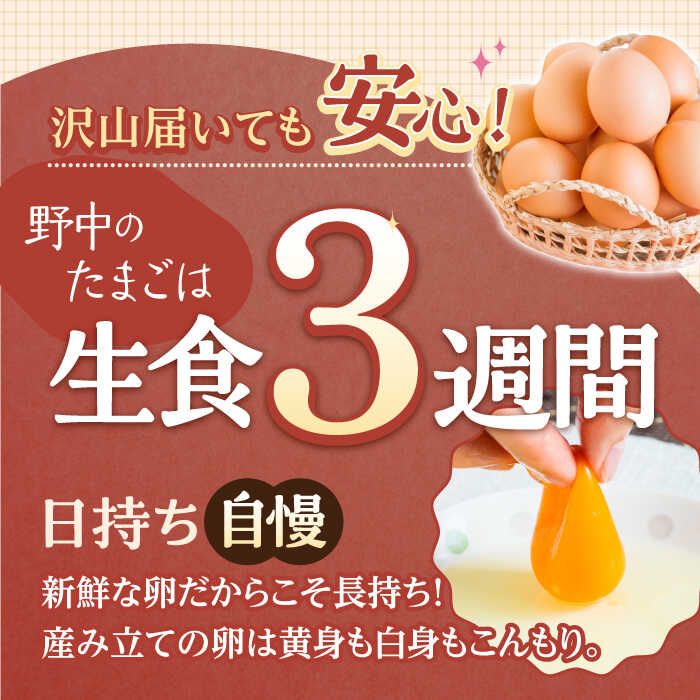 【ふるさと納税】【3回定期便】野中のたまご 40個×3回 総計120個 / 濃厚な味わい 黄身 つまめる！たまご 卵 ブランド こだわり卵 卵かけごはん ピッタリ おいしい 大崎半島 大自然 タマゴ 長崎県産 玉子 生卵 鶏卵 鶏 お土産 ギフト 朝食【野中鶏卵】 [OAC004]