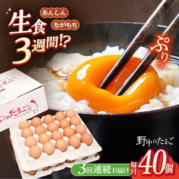 【ふるさと納税】【3回定期便】野中のたまご 40個×3回 総計120個 / 濃厚な味わい 黄身 つまめる！たまご 卵 ブランド こだわり卵 卵かけごはん ピッタリ おいしい 大崎半島 大自然 タマゴ 長崎県産 玉子 生卵 鶏卵 鶏 お土産 ギフト 朝食【野中鶏卵】 [OAC004]