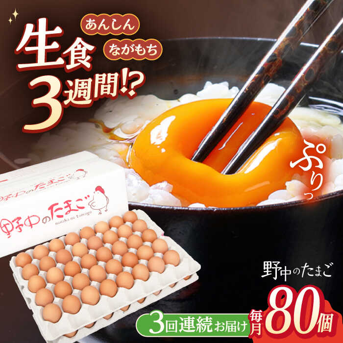 [3回定期便]野中のたまご 80個×3回 計240個/ 濃厚な味わい 黄身 つまめる!たまご 卵 ブランド こだわり卵 卵かけごはん ピッタリ おいしい 大崎半島 大自然 タマゴ 長崎県産 玉子 生卵 鶏卵 鶏 お土産 ギフト 朝食[野中鶏卵] 