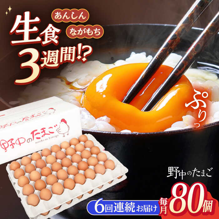 【ふるさと納税】【6回定期便】野中のたまご 80個×6回 総計480個 / 濃厚な味わい 黄身 つまめる！たまご 卵 ブランド こだわり卵 卵か..