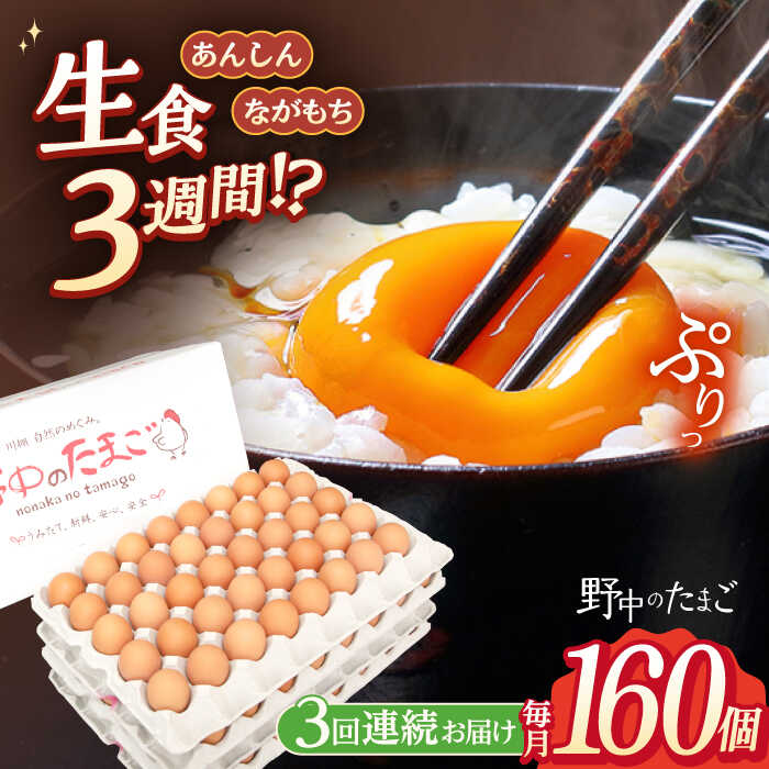 [3回定期便]野中のたまご 160個×3回 総計480個 / 濃厚な味わい たまご 卵 黄身 つまめる!ブランド こだわり卵 卵かけごはん ピッタリ おいしい 大崎半島 大自然 タマゴ 長崎県産 玉子 生卵 鶏卵 鶏 お土産 ギフト 朝食[野中鶏卵] 