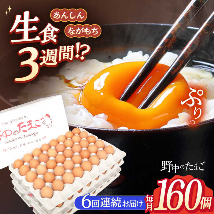 【ふるさと納税】【6回定期便】野中のたまご 160個×6回 総計960個 / 濃厚な味わい 黄身 つまめる！たまご 卵 ブランド こだわり卵 卵かけごはん ピッタリ おいしい 大崎半島 大自然 タマゴ 長崎県産 玉子 生卵 鶏卵 鶏 お土産 ギフト 朝食【野中鶏卵】 [OAC011]