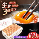 15位! 口コミ数「0件」評価「0」【12回定期便】 野中のたまご 160個×12回 計1920個 / 濃厚な味わい 黄身 つまめる！卵ブランド こだわり卵 卵かけごはん ピッ･･･ 