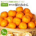 【ふるさと納税】「越冬完熟 原口 みかん」 5kg 完熟ミカン / 完熟ミカン ミカン 蜜柑 フルーツ 果物 甘い 数量限定 長崎県産 柑橘 贈答 ギフト こた...