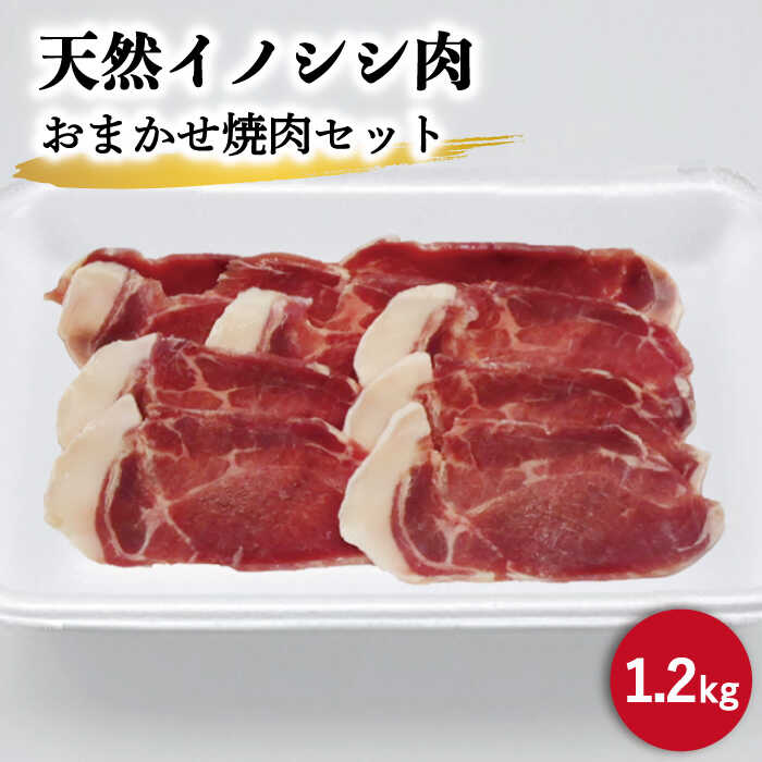 ジビエ 天然 イノシシ肉 おまかせ焼肉セット 1,200g （ロース・モモ・バラ）/ 猪 いのしし イノシシ 猪肉 お肉 焼き肉 BBQ 冷凍 九州産 長崎県産【照本食肉加工所】 [OAJ006]