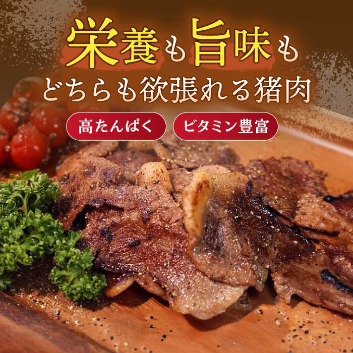 【ふるさと納税】ジビエ 天然 イノシシ肉 バラ肉スライス 500g / 猪 いのしし イノシシ 猪肉 お肉 精肉 スライス肉 ばら肉 冷凍 九州産 長崎県産【照本食肉加工所】 [OAJ007]