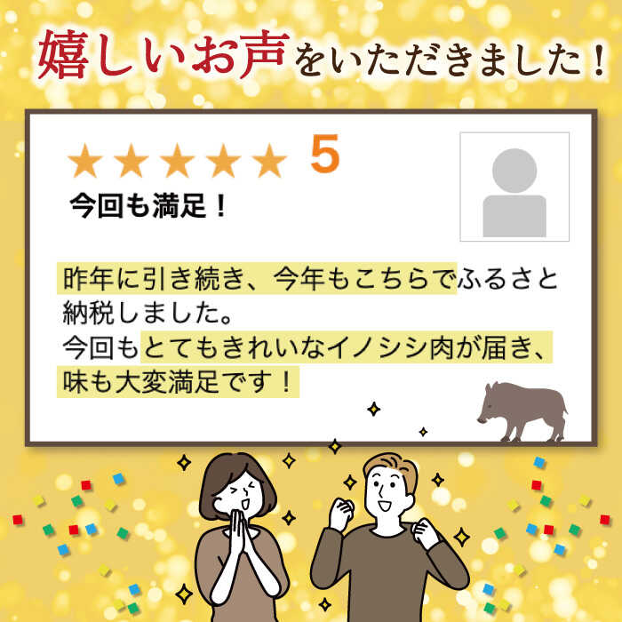 【ふるさと納税】ジビエ 天然 イノシシ肉 バラ肉スライス 750g / 猪 いのしし イノシシ 猪肉 お肉 精肉 スライス肉 ばら肉 冷凍 九州産 長崎県産【照本食肉加工所】 [OAJ008]