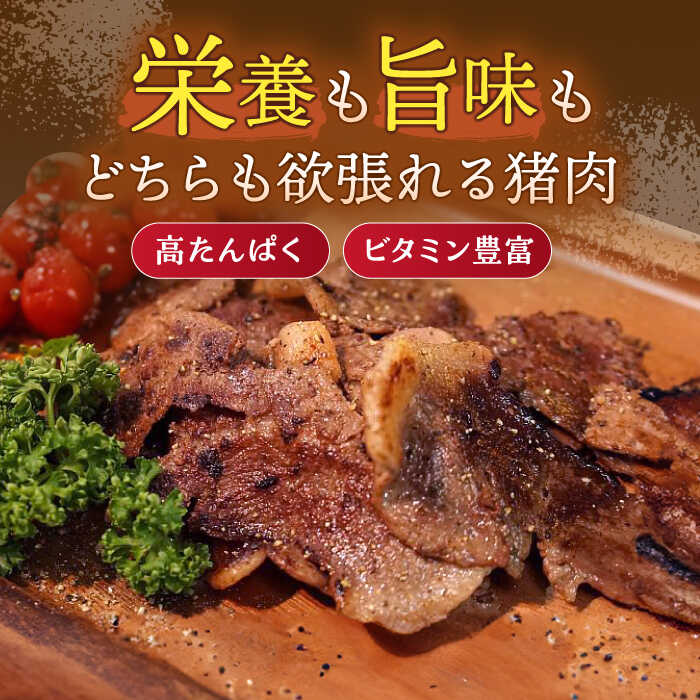 【ふるさと納税】ジビエ 天然 イノシシ肉 粗挽きミンチ肉 600g / 猪 いのしし イノシシ 猪肉 お肉 精肉 あらびき 冷凍 九州産 長崎県産【照本食肉加工所】 [OAJ016]