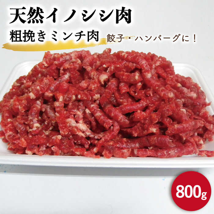 ジビエ 天然 イノシシ肉 粗挽きミンチ肉 800g / 猪 いのしし イノシシ 猪肉 お肉 精肉 あらびき 冷凍 九州産 長崎県産【照本食肉加工所】 [OAJ017]