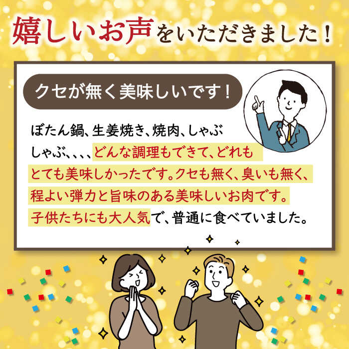 【ふるさと納税】【6回定期便】ジビエ 天然 イノシシ肉 切り落とし1kg（ぼたん鍋・煮込料理・野菜炒め用等）/ 猪 いのしし イノシシ 猪肉 お肉 しし鍋 精肉 冷凍 九州産 長崎県産【照本食肉加工所】 [OAJ020]