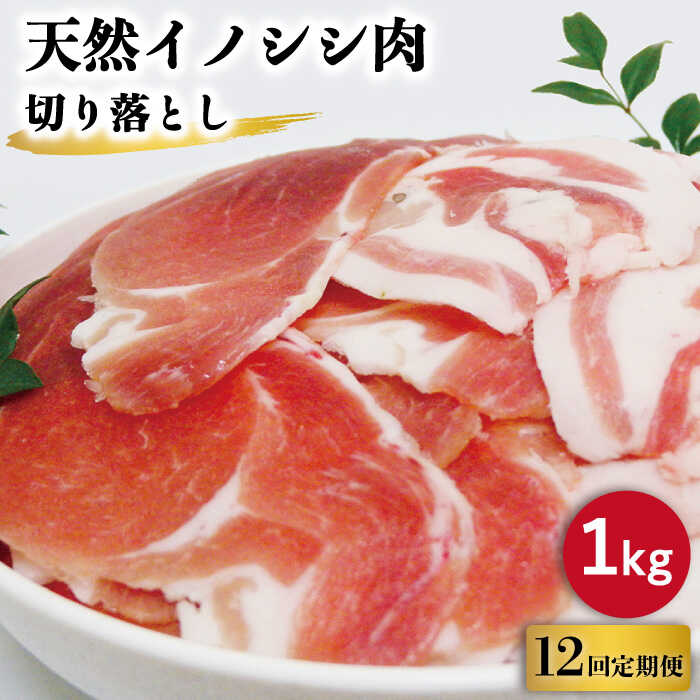 【ふるさと納税】【12回定期便】ジビエ 天然 イノシシ肉 切り落とし1kg（ぼたん鍋・煮込料理・野菜炒め..