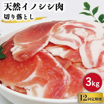 【ふるさと納税】【12回定期便】ジビエ 天然 イノシシ肉 切り落とし3kg（ぼたん鍋・煮込料理・野菜炒め用等）/ 猪 いのしし イノシシ 猪肉 お肉 しし鍋 精肉 冷凍 九州産 長崎県産【照本食肉加工所】 [OAJ027]