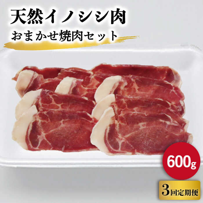 [3回定期便]ジビエ 天然 イノシシ肉 おまかせ焼肉セット 600g (ロース・モモ・バラ)/ 猪 いのしし イノシシ 猪肉 お肉 焼き肉 BBQ 冷凍 九州産 長崎県産[照本食肉加工所] 