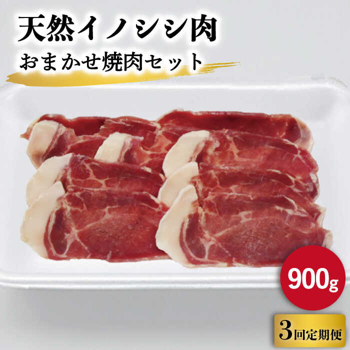 【ふるさと納税】【3回定期便】ジビエ 天然 イノシシ肉 おまかせ焼肉セット 900g （ロース・モモ・バラ..