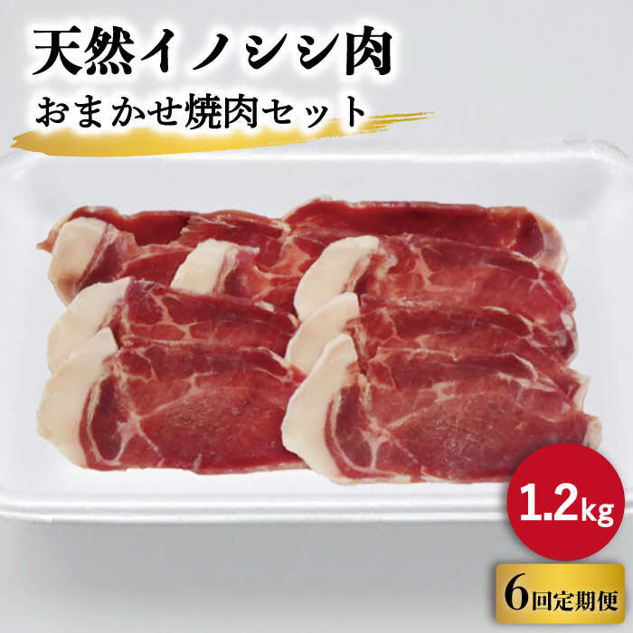 【ふるさと納税】【6回定期便】ジビエ 天然 イノシシ肉 おまかせ焼肉セット 1,200g （ロース・モモ・バラ）/ 猪 いのしし イノシシ 猪肉 お肉 焼き肉 BBQ 冷凍 九州産 長崎県産【照本食肉加工所】 [OAJ035]