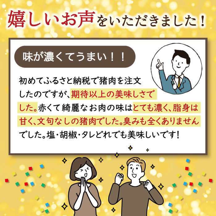 【ふるさと納税】【6回定期便】ジビエ 天然 イノシシ肉 バラ肉スライス 500g / 猪 いのしし イノシシ 猪肉 お肉 しし鍋 精肉 冷凍 九州産 長崎県産【照本食肉加工所】 [OAJ041]