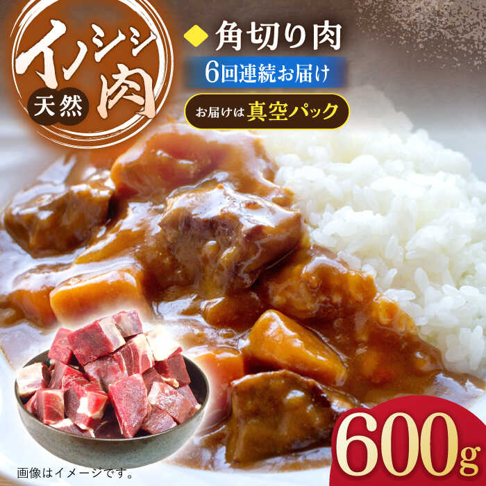 【6回定期便】ジビエ 天然 イノシシ肉 角切り肉 600g（カレー・シチュー）/ 猪 いのしし イノシシ 猪肉 お肉 精肉 冷凍 九州産 長崎県産【照本食肉加工所】 [OAJ045]