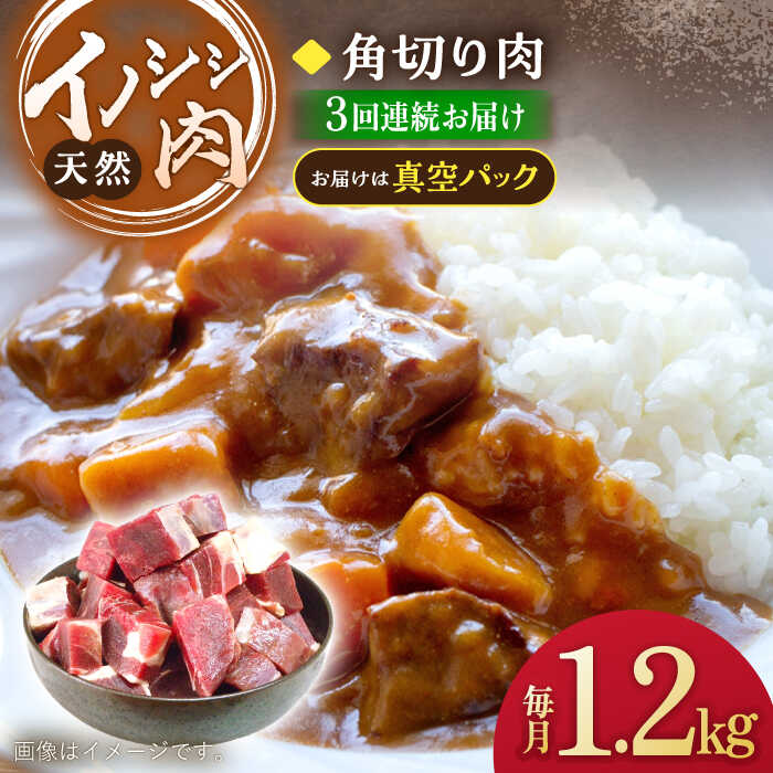 【3回定期便】ジビエ 天然 イノシシ肉 角切り肉 1,200g（カレー・シチュー）/ 猪 いのしし イノシシ 猪肉 お肉 精肉 冷凍 九州産 長崎県産【照本食肉加工所】 [OAJ064]