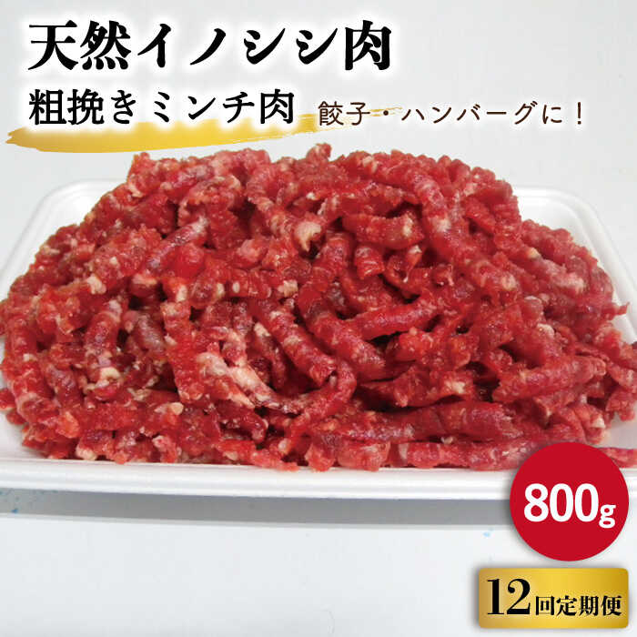 【ふるさと納税】【12回定期便】ジビエ 天然 イノシシ肉 粗挽きミンチ肉 800g / 猪 いのしし イノシシ ..