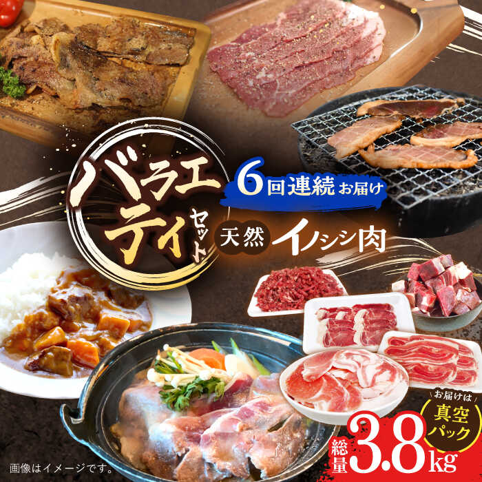 【ふるさと納税】【6回定期便】猪肉 バラエティセット 総量3.8kg / 冷凍発送 いのしし イノシシ 猪 ジ..