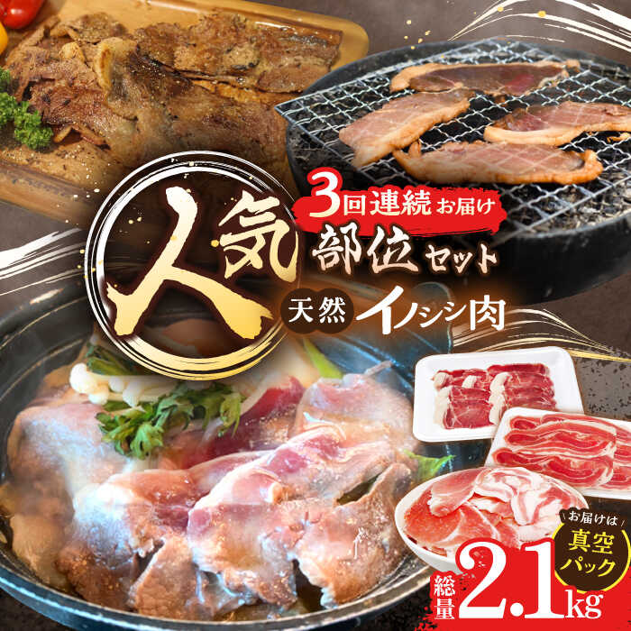 【ふるさと納税】【3回定期便】猪肉 人気部位セット 総量2.