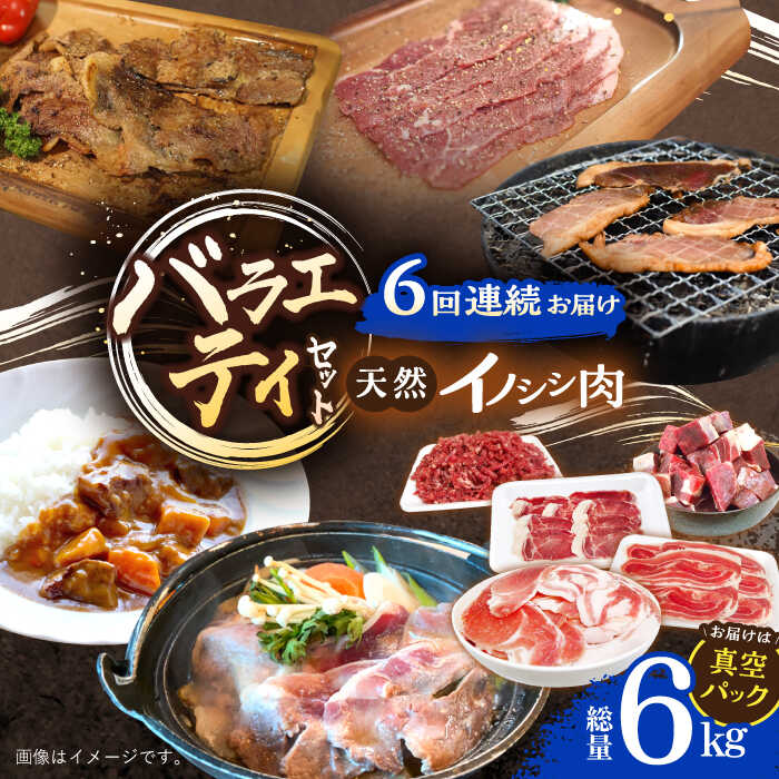 【ふるさと納税】【6回定期便】猪肉 バラエティセット 総量6.0kg / 冷凍発送 いのしし イノシシ 猪 ジ..