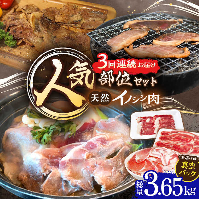 【ふるさと納税】【3回定期便】猪肉 人気部位セット 総量3.