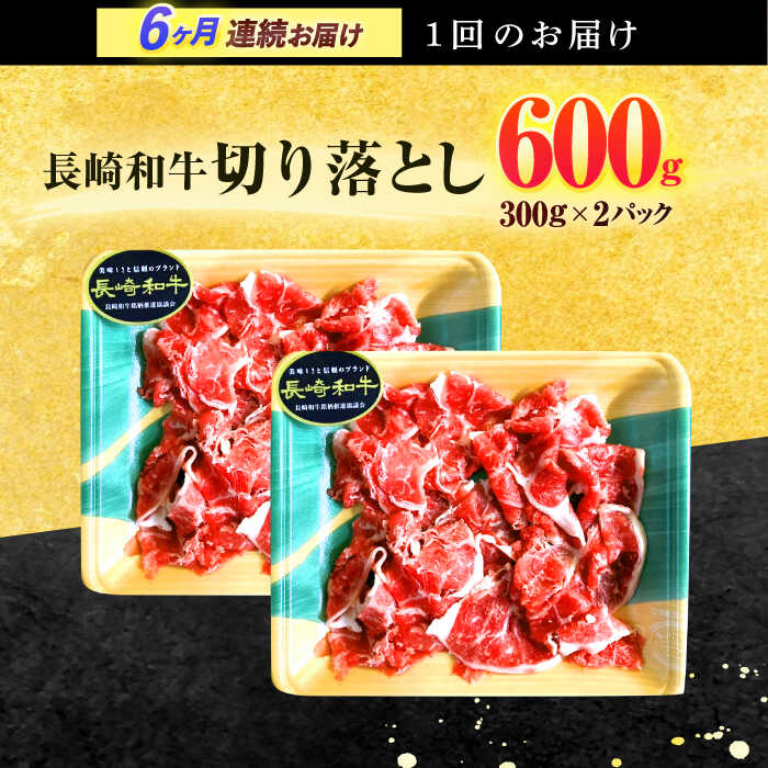 【ふるさと納税】【6回定期便】長崎和牛 切り落とし 600g(300g×2)【有限会社長崎フードサービス】[OCD019]