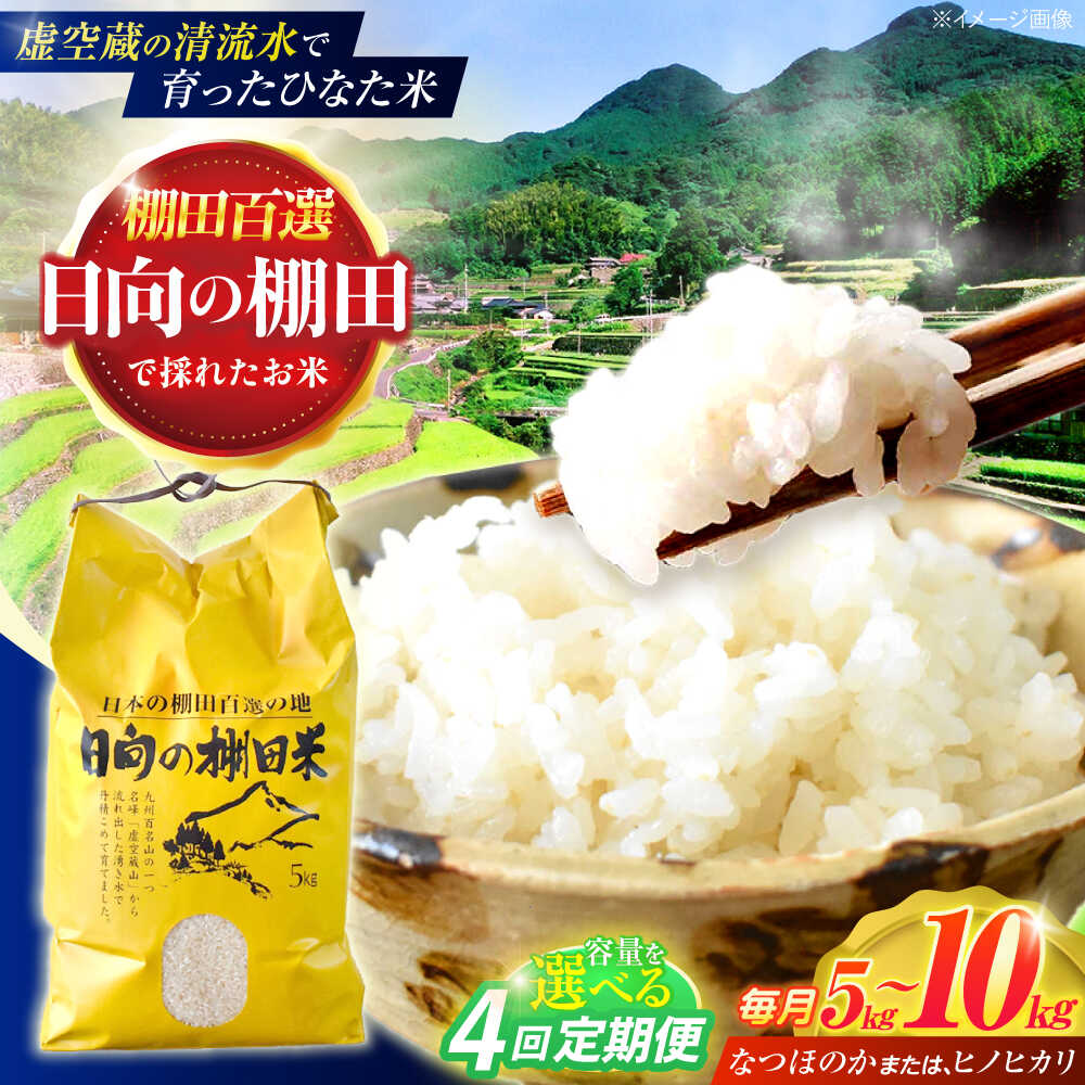 ＜容量選べる！＞【4回定期便】虚空蔵の清流水で育った棚田米『ひなた米』 5kg・10kg【木場中山間管理組合】[OCM044]