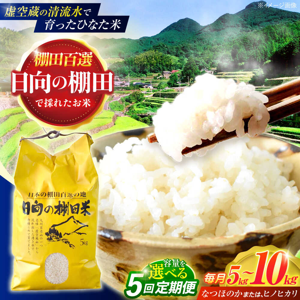 ＜容量えらべる！＞【5回定期便】虚空蔵の清流水で育った棚田米『ひなた米』 5kg・10kg【木場中山間管理組合】[OCM045]