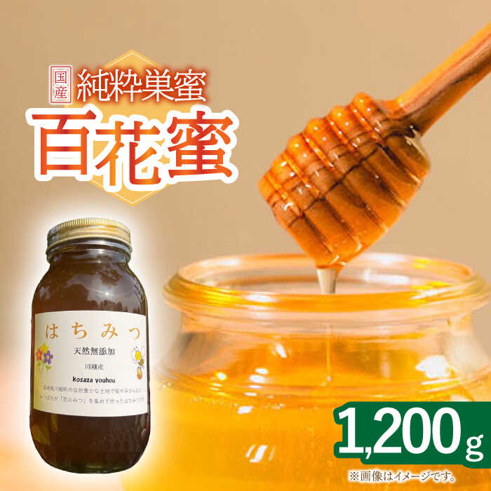 【ふるさと納税】はちみつ 百花蜜 1.2kg/ 蜂蜜 国産 