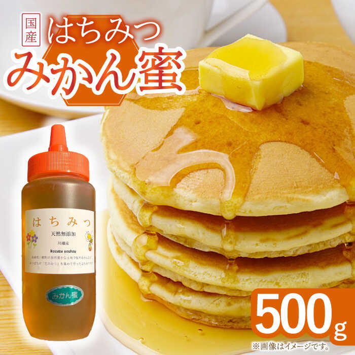 【ふるさと納税】はちみつ みかん蜜 500g / 蜂蜜 国産 とんがり容器 入り 長崎県 川棚町産 【小佐々養蜂場】[OCY003]