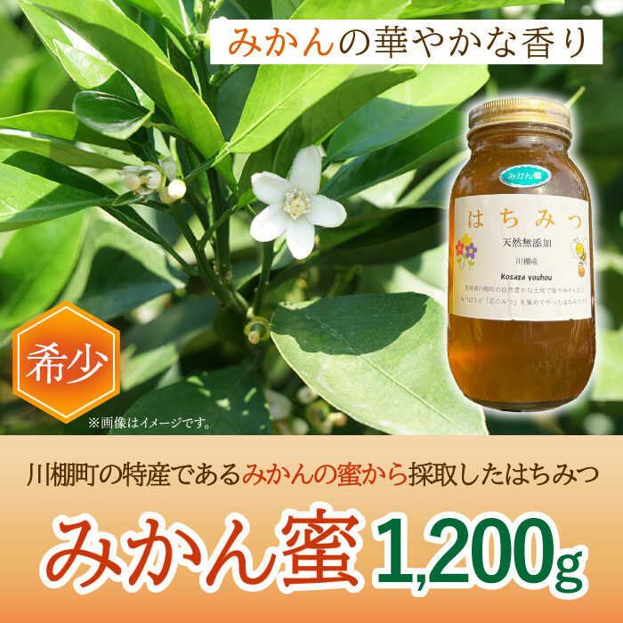 【ふるさと納税】はちみつ みかん蜜 1.2kg/ 蜂蜜 国産 瓶 入り 長崎県 川棚町産 【小佐々養蜂場】[OCY004]