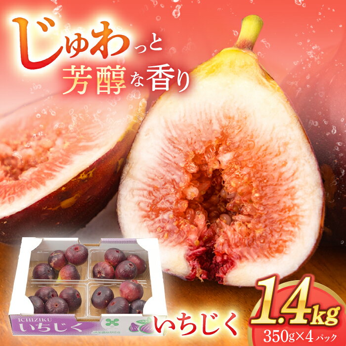 【ふるさと納税】【先行予約】いちじく 約1.4kg（350g×4パック）/ 冷蔵発送 フルーツ 無花果 イチジク フィグ 化粧箱入り 贈答用 くだもの 果物 ジャム 大玉 お取り寄せ 一万円台 1万円台 長崎県 九州産 人気いちじく 長崎県産フルーツ 川棚町 果実 【田崎FARM】 [OCU004]