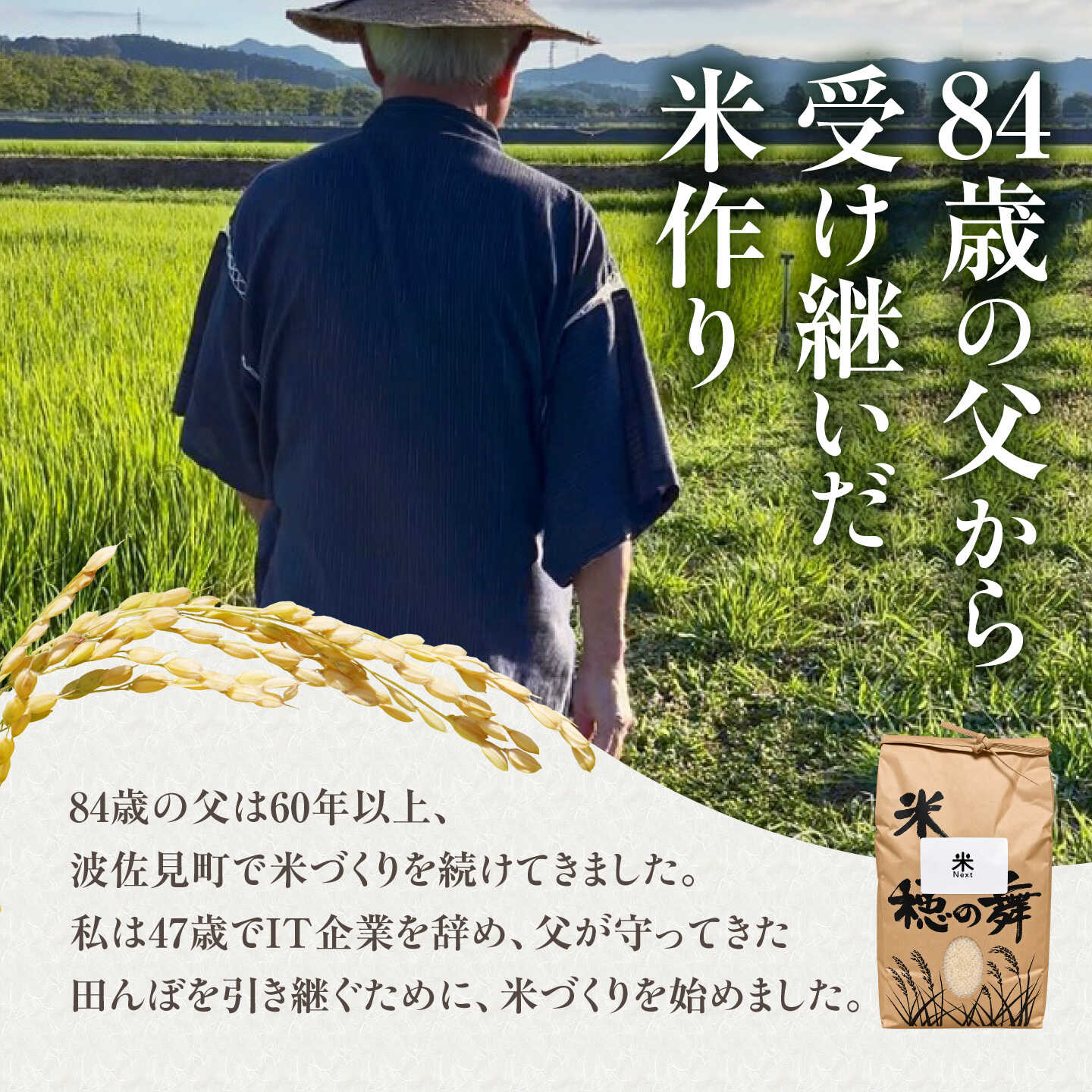 【ふるさと納税】【令和8年産 新米予約】波佐見町産 なつほのか 10kg（5kg×2袋） 米Next 白米[CH02] f423238-hasami-10009240 長崎県波佐見町 サンプル画像3