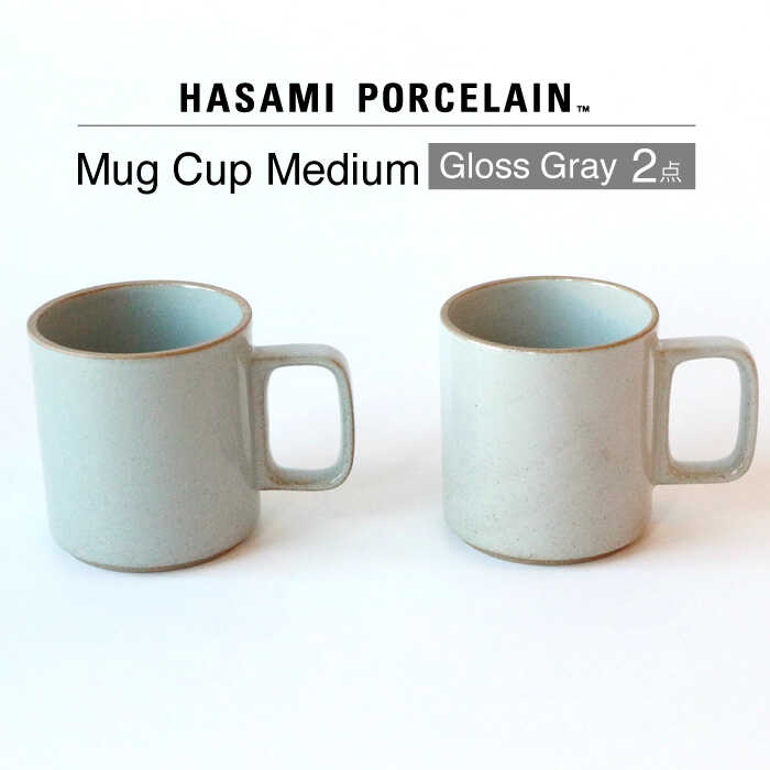 楽天長崎県波佐見町【ふるさと納税】【HASAMI PORCELAIN】マグカップ グロスグレイ 2点セット【東京西海】 [DD196]