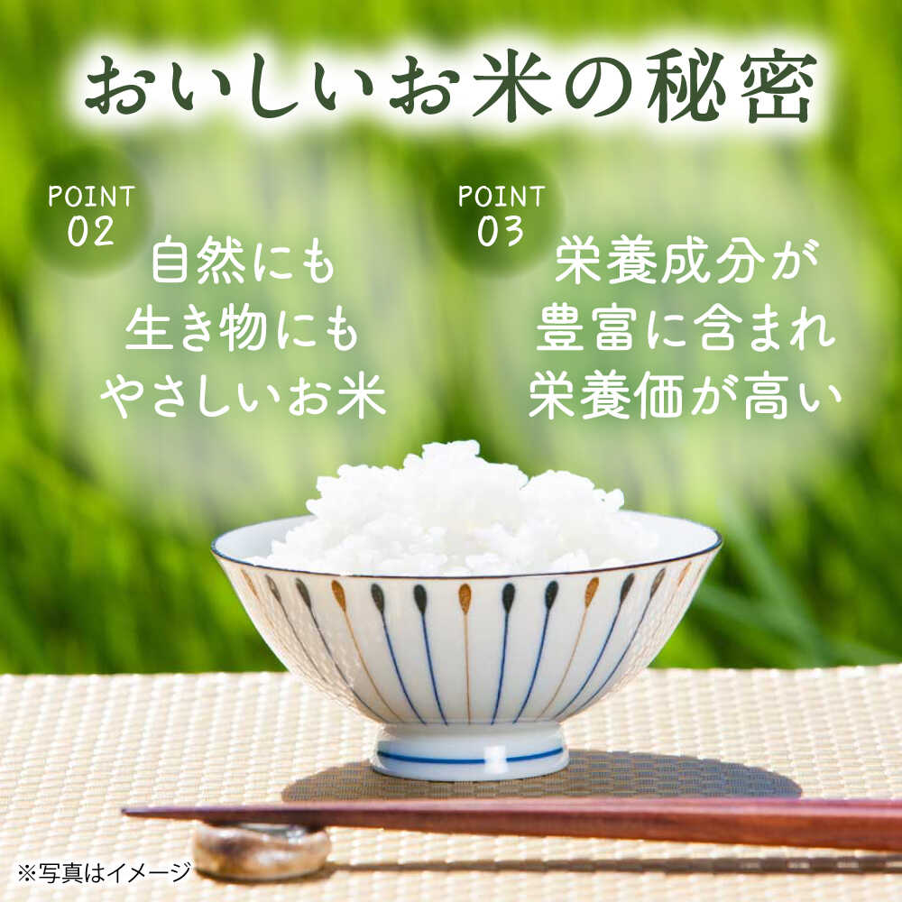 【ふるさと納税】【先行予約 令和8年度新米】【全12回定期便】栽培期間中農薬不使用 農家のおいしいお米 5kg×12回 【浅田峠自然塾】 [EA07] f423238-hasami-10001593 長崎県波佐見町 サンプル画像3