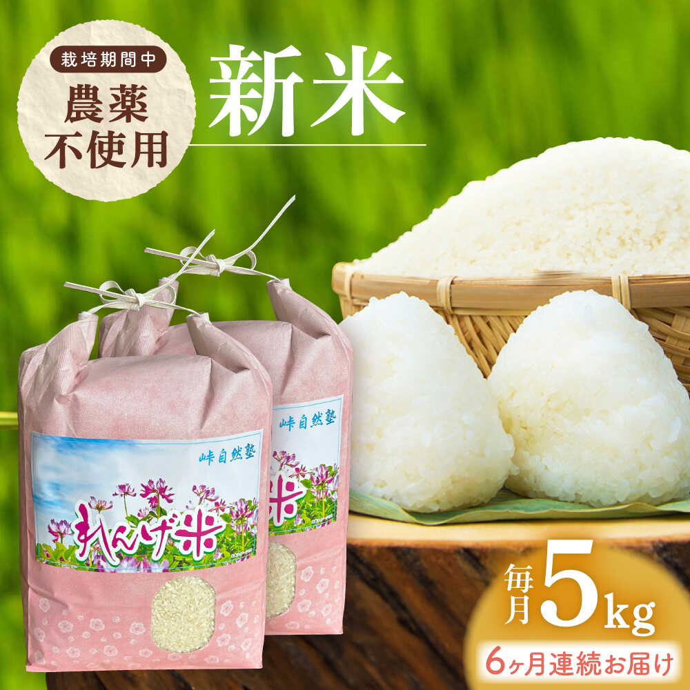 【全6回定期便】【 令和7年度米】栽培期間中農薬不使用 農家のおいしいお米 5kg×6回【浅田峠自然塾】[EA18]
