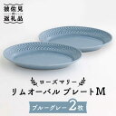 【ふるさと納税】【波佐見焼】ローズマリー リムオーバル プレート M ブルーグレー 2枚セット 食器 皿 【翔芳窯】 FE85