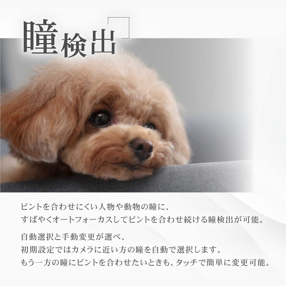 長崎県波佐見町の画像3