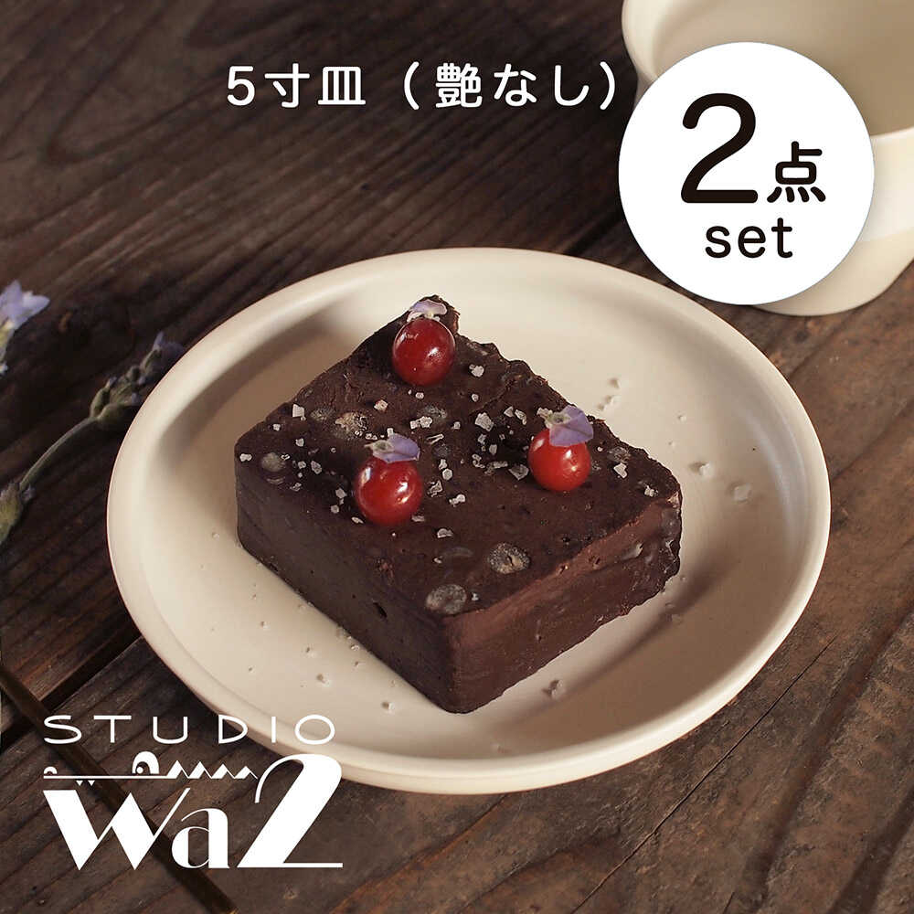 【ふるさと納税】【波佐見焼】KINU 5寸皿 2点セット（艶なし）【studio wani】[MB78]