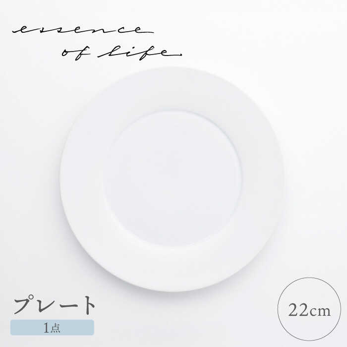 [波佐見焼][essence]22cmプレート 1点 agasuke[西海陶器][OA302]