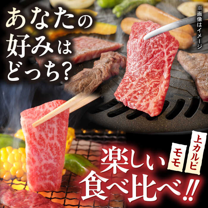 【ふるさと納税】【全12回定期便】焼肉 満喫セット（ モモ 上カルビ ） 総計900g 長崎和牛 A4〜A5ランク【野中精肉店】 [VF80] 肉 牛肉 もも カルビ 焼肉 定期便 f423238-hasami-10006809 長崎県波佐見町 サンプル画像3