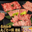 【ふるさと納税】【全12回定期便】長崎和牛丸ごと一頭 堪能! 総計6.2kg以上 サーロイン モモ イチボ シャトーブリアン 焼肉 ステーキ 長崎和牛 希少部位...